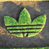 Realising that green concerns are here to stay