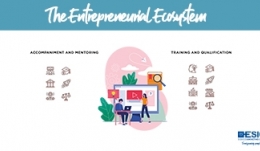 The Entrepreneurial Ecosystem 
