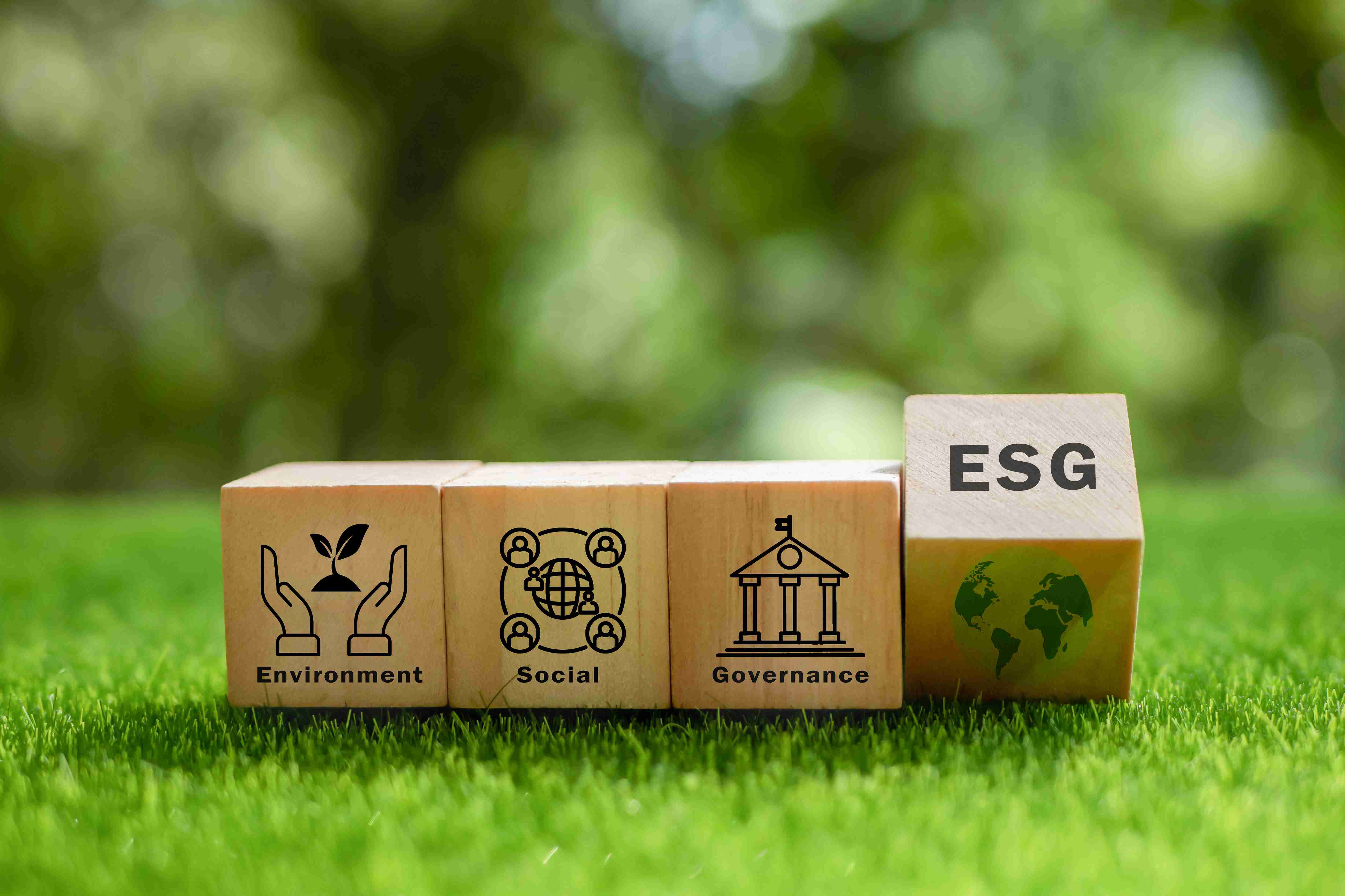 criterios esg