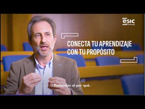 Director de titulación