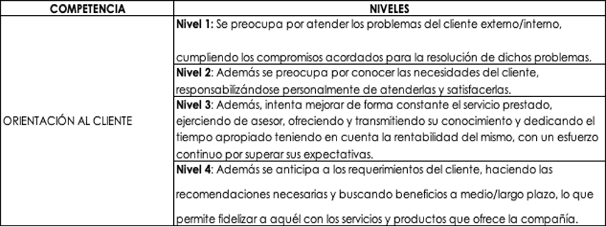 ejemplo-competencia-y-niveles