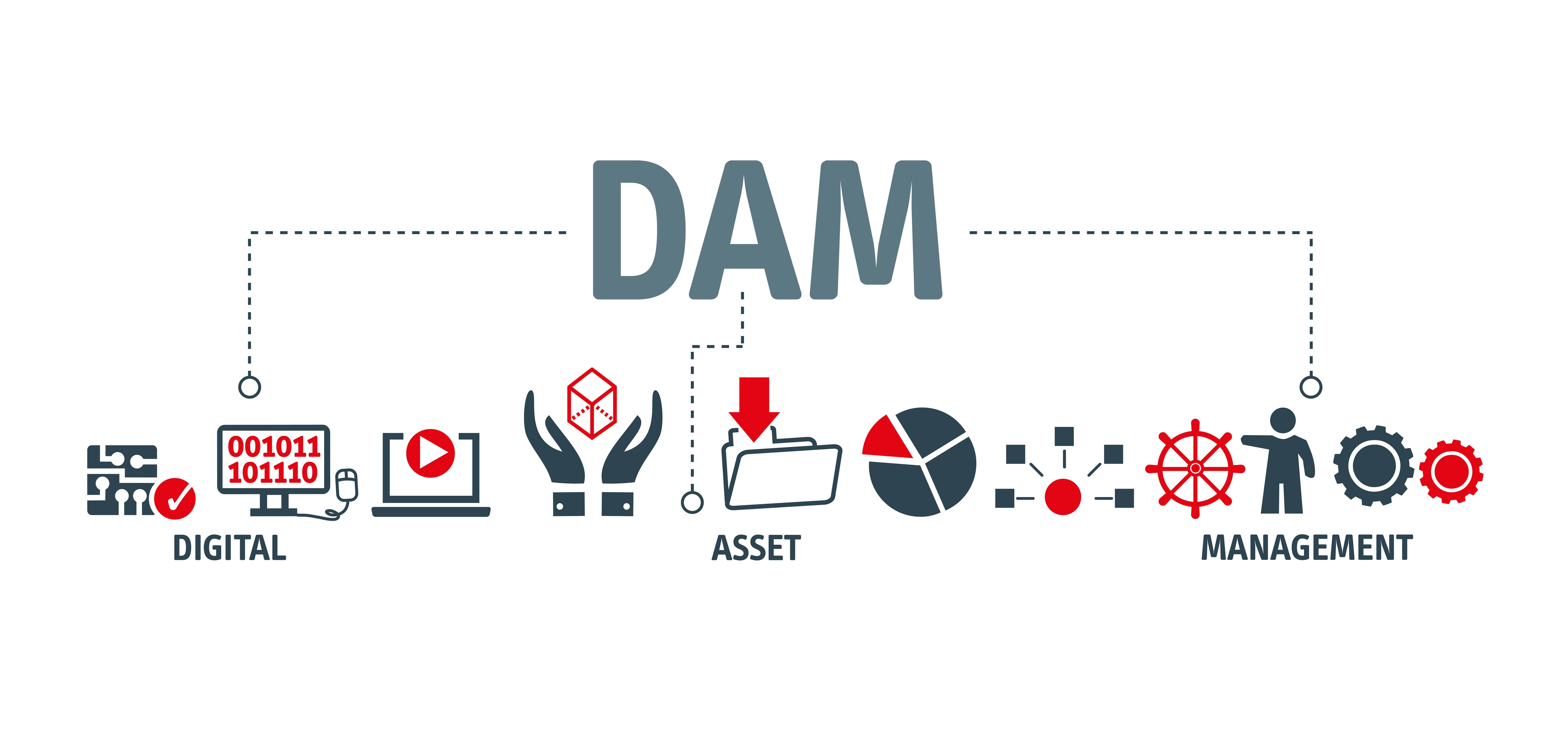 ¿Qué son los Digital assets management (DAM) o sistema de gestión de activos digitales?