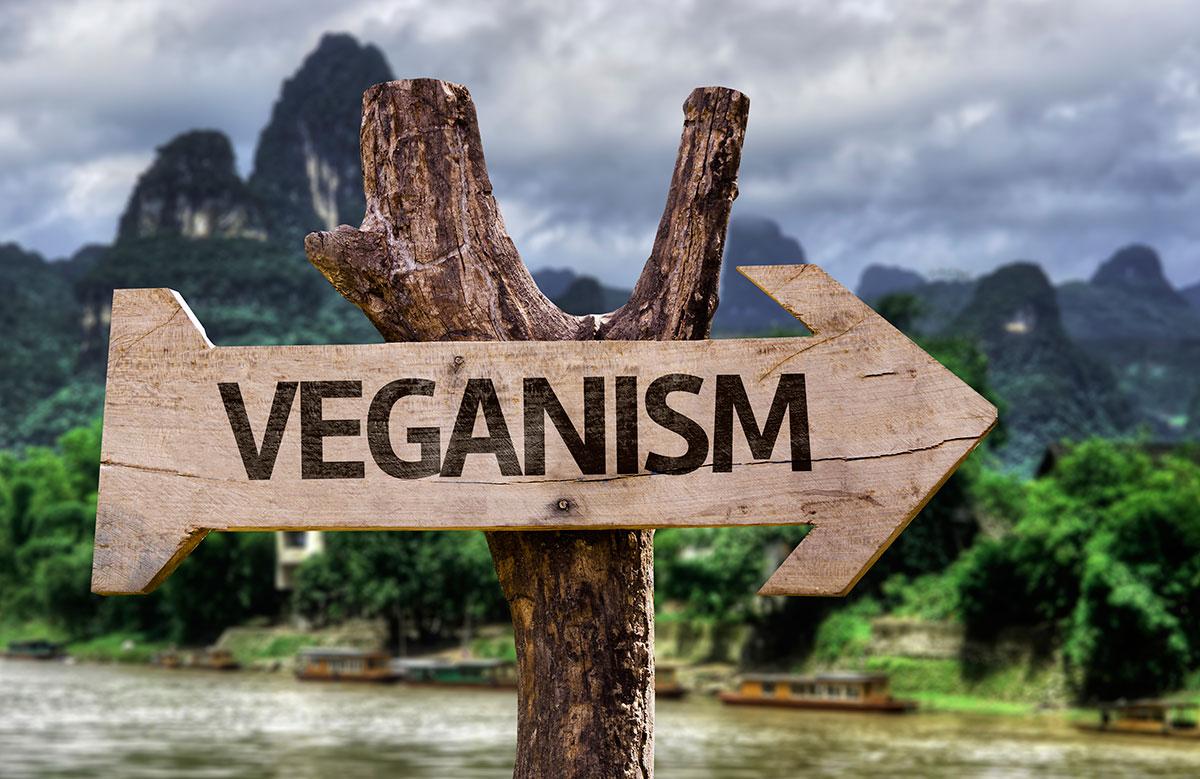Veganos; ¿otra moda millennial alimentaria o una nueva forma de alimentarse y vivir?