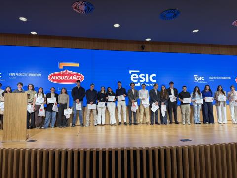 miguelañez esic