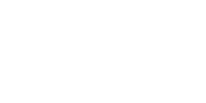 Foresight